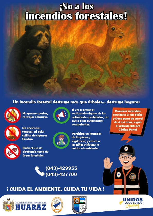Imagen sobre el boletín